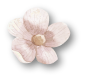 flower_2_3